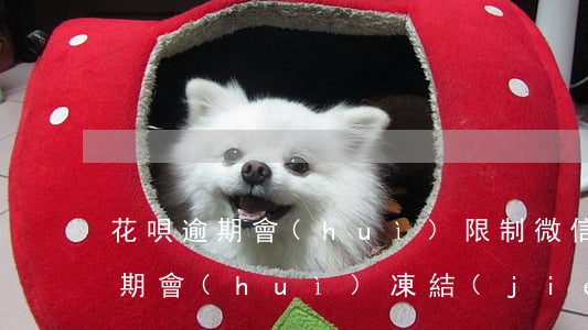 花唄逾期會(huì)限制微信支付(花唄逾期會(huì)凍結(jié)微信的錢嗎)