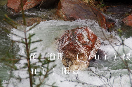 花唄逾期會(huì)限高(花唄不還會(huì)限高嗎)