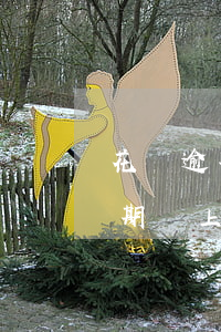 花唄逾期會上征信嗎,逾期多少天會上（花唄逾期會上征信嗎）