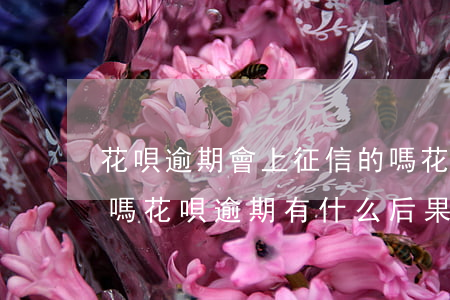 花唄逾期會上征信的嗎(花唄逾期半年上征信嗎?花唄逾期有什么后果)
