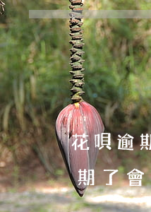 花唄逾期會不會不能坐車(花唄借唄備用金逾期了會影響坐車嗎)