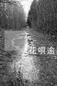 花唄逾期會不會全還(花唄逾期會不會全還)