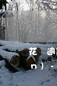 花唄逾期會不會凍結我所有的財產(chǎn)-花唄逾期會不會凍結我所有的財產(chǎn)呢