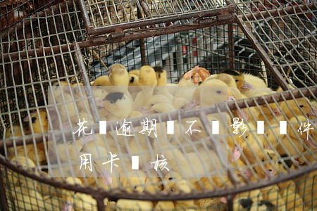 花唄逾期會不會影響證件(花唄逾過期影響信用卡審核)