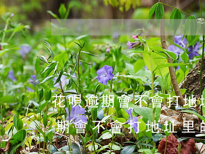 花唄逾期會不會打地址里的通訊錄-花唄逾期會不會打地址里的通訊錄電話