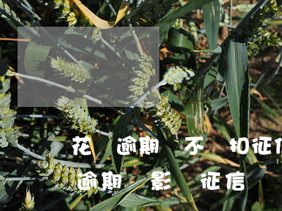 花唄逾期會不會扣征信(花唄有欠款但是沒有逾期會影響征信嗎)