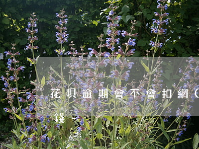 花唄逾期會不會扣網(wǎng)商銀行的錢-
