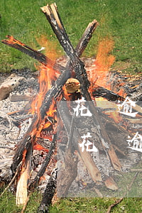 花唄逾期會不會給所有通訊錄的人打電話-花唄逾期會不會給所有通訊錄的人打電話呢