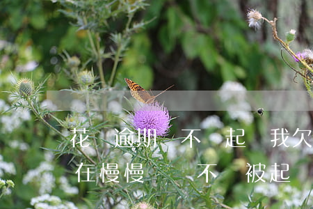 花唄逾期會不會起訴我(欠花唄1500逾期在慢慢還會不會被起訴)