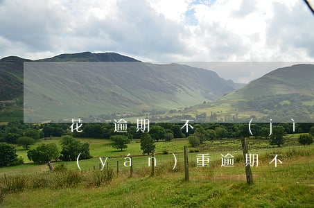 花唄逾期會不會進(jìn)黑名單(花唄嚴(yán)重逾期不還會不會被拉入黑名單)