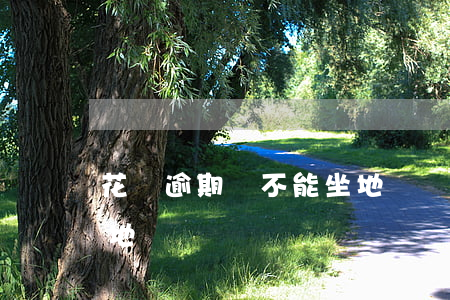 花唄逾期會不能坐地鐵嗎(花唄逾期會不能坐地鐵嗎)