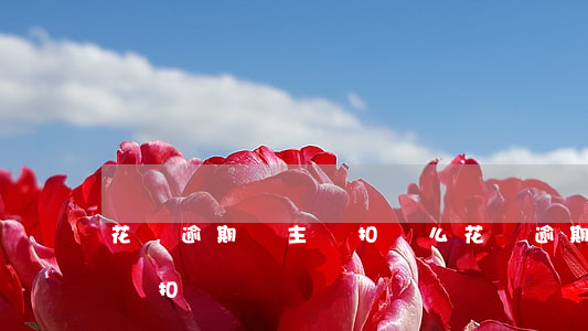 花唄逾期會主動扣錢么(花唄逾期了支付寶自動扣)