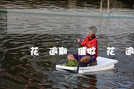花唄逾期會催收嗎(花唄逾期會催收嗎)