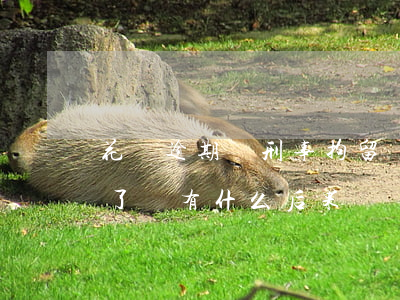花唄逾期會刑事拘留嗎(人在看守所花唄逾期了,會有什么后果)
