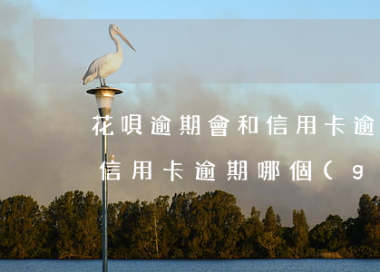 花唄逾期會和信用卡逾期一樣嗎 花唄逾期和信用卡逾期哪個(gè)利息高