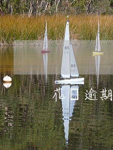 花唄逾期會天天催款嗎(花唄多久不還會催款)