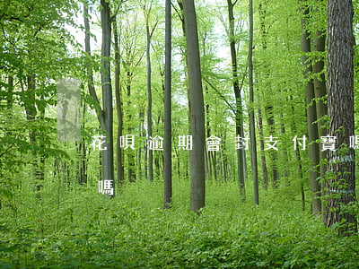 花唄逾期會封支付寶嗎（花唄逾期了會被封卡嗎）