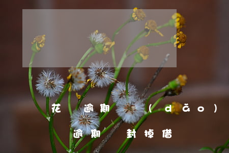 花唄逾期會導(dǎo)致支付寶封號嗎（花唄逾期會封掉借唄嗎）