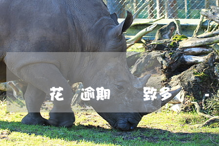 花唄逾期會導致多還嗎-花唄逾期會導致多還嗎