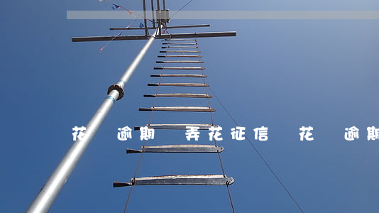花唄逾期會弄花征信嗎(花唄逾期會弄花征信嗎)