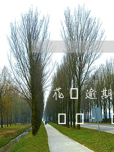 花唄逾期會影響事業(yè)單位招聘和報銷嗎-個人征信會查到花唄嗎