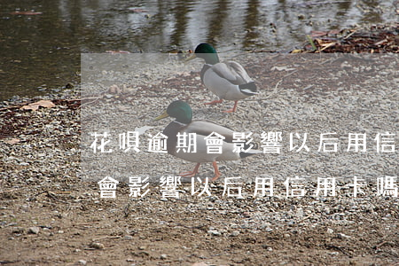 花唄逾期會影響以后用信用卡嗎-花唄逾期會影響以后用信用卡嗎知乎