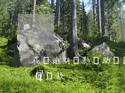花唄逾期會影響助學貸款(花唄逾期會影響助學貸款)