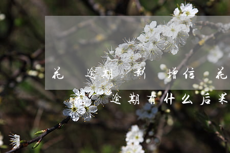 花唄逾期會影響增信嗎(花唄逾期半年上征信嗎?花唄逾期有什么后果)
