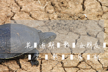 花唄逾期會影響女朋友嗎(支付寶花唄逾期過會不會影響購房貸款)