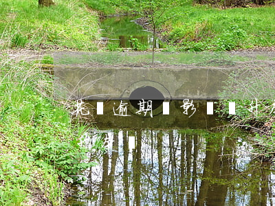 花唄逾期會影響專升本嗎(花唄逾期會影響專升本嗎)