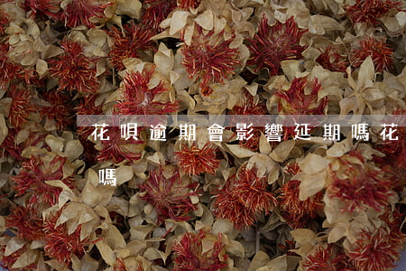 花唄逾期會影響延期嗎(花唄逾期會影響延期嗎)