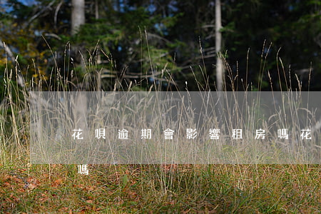花唄逾期會影響租房嗎(花唄逾期會影響租房嗎)
