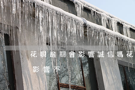 花唄逾期會影響誠信嗎(花唄逾期對信用卡有影響不)
