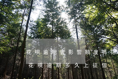 花唄逾期會影響額度嗎(花唄逾期有什么影響?花唄逾期多久上征信)