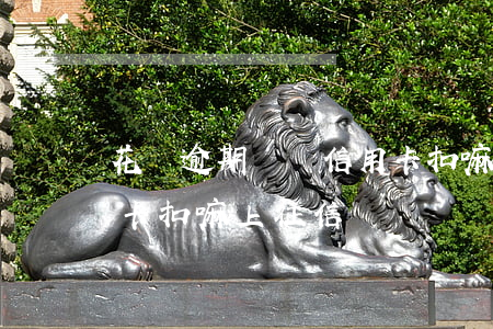 花唄逾期會從信用卡扣嘛(花唄逾期會從信用卡扣嘛上征信嗎)