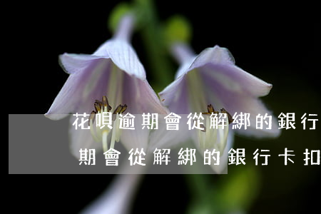 花唄逾期會從解綁的銀行卡扣款嗎-花唄逾期會從解綁的銀行卡扣款嗎安全嗎