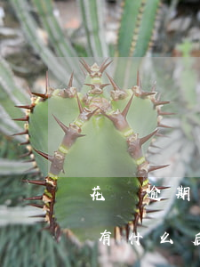 花唄逾期會怎么樣三個月(花唄逾期三個月會有什么后果?,有獎問答)