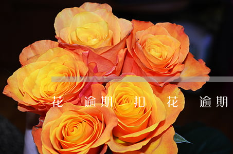 花唄逾期會扣費(花唄逾期會扣支付寶余額嗎)