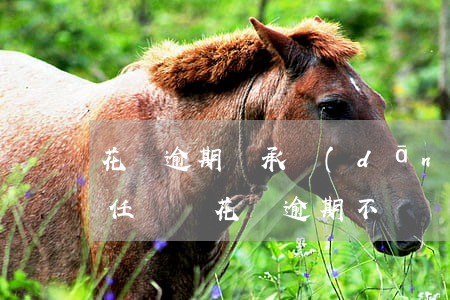 花唄逾期會承擔(dān)什么責(zé)任(螞蟻花唄逾期不還會對個人造成什么影響)