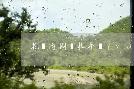 花唄逾期會收手續(xù)費嗎