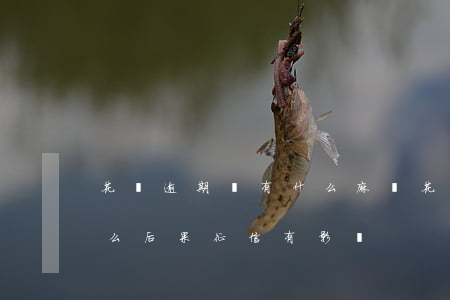 花唄逾期會有什么麻煩(花唄逾期幾天會有什么后果?征信有影響)