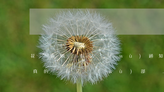 花唄逾期會有法務(wù)通知嗎(花唄逾期真的會有法務(wù)部門上門核實(shí)嗎)