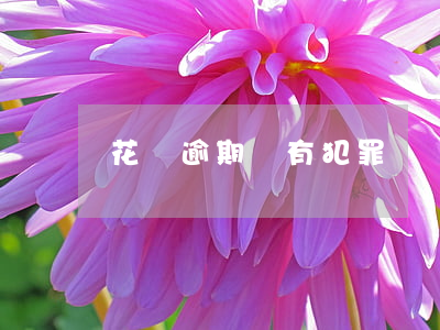 花唄逾期會有犯罪記錄嗎(花唄逾期會有犯罪記錄嗎)