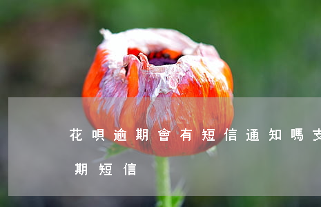 花唄逾期會有短信通知嗎(支付寶花唄收到逾期短信)