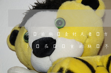 花唄逾期會查封夫妻雙方的財產(chǎn)嗎(花唄嚴重逾期會不會凍結名下所有銀行賬戶)