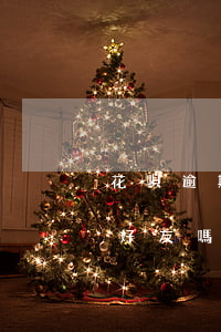 花唄逾期會查戶口本嗎(花唄逾期會查支付寶好友嗎)