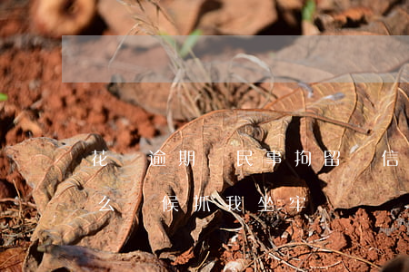 花唄逾期會民事拘留嗎(信用卡花唄逾期了什么時候抓我坐牢)
