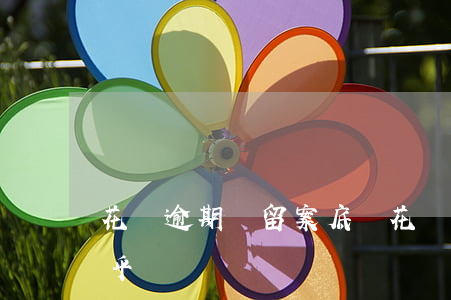 花唄逾期會留案底嗎(花唄逾期會留案底嗎知乎)