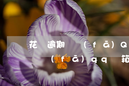 花唄逾期會發(fā)QQ郵箱嘛(花唄逾期會發(fā)qq郵箱嘛)