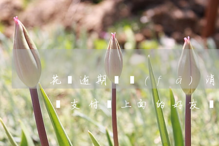 花唄逾期會發(fā)消息來嗎(花唄逾期會給支付寶上面的好友發(fā)消息嗎?)